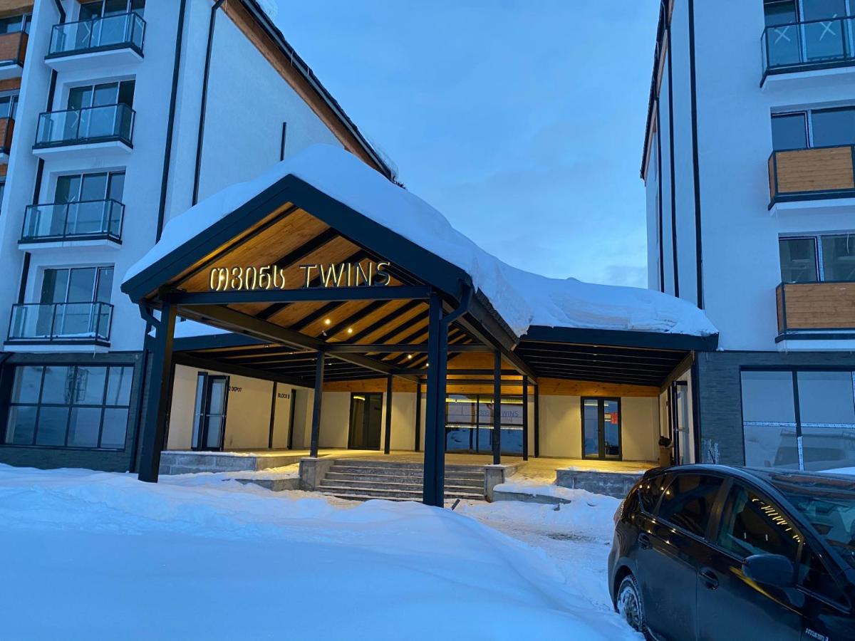 Twins Apartment Deluxe, New Gudauri Luaran gambar